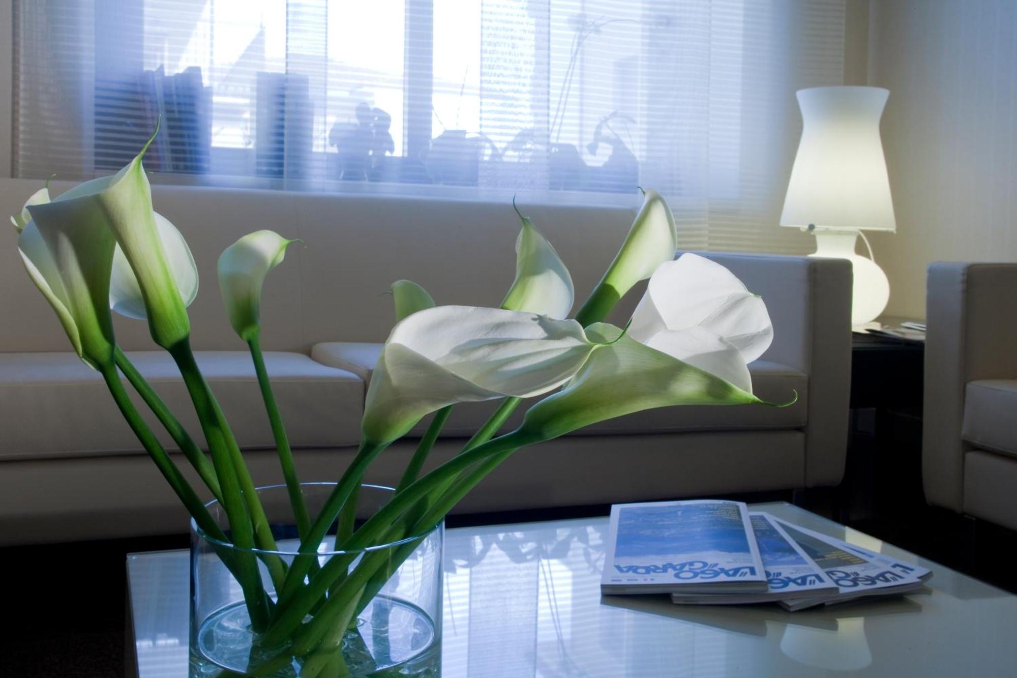 דסנזאנו דל גארדה Hotel Desenzano מראה חיצוני תמונה